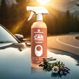 Natural Car Freshener