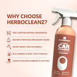 Natural Car Freshener