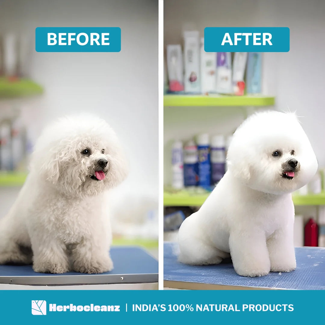 Natural Pet Shampoo