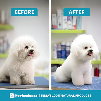Natural Pet Shampoo