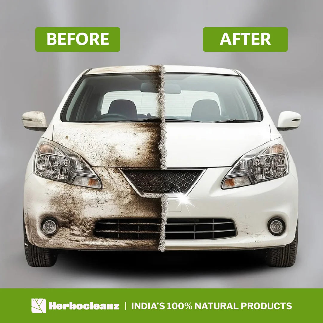 Natural Car Wash