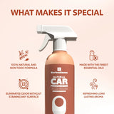 Natural Car Freshener
