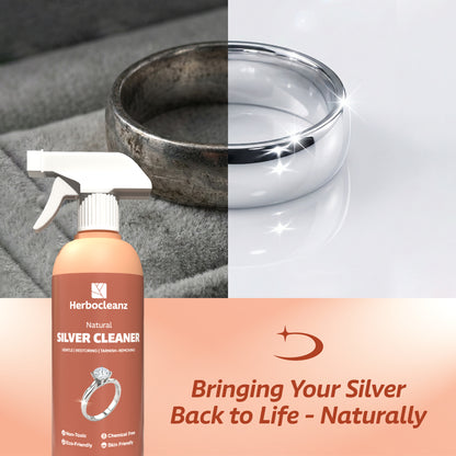 Natural Silver Cleaner