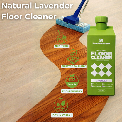 Herbocleanz Holi Combo Kit