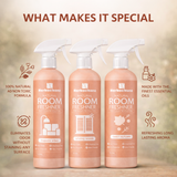 Room Freshener Value Pack – Pack of 3
