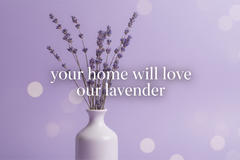 Your Home Will Love Our Lavender